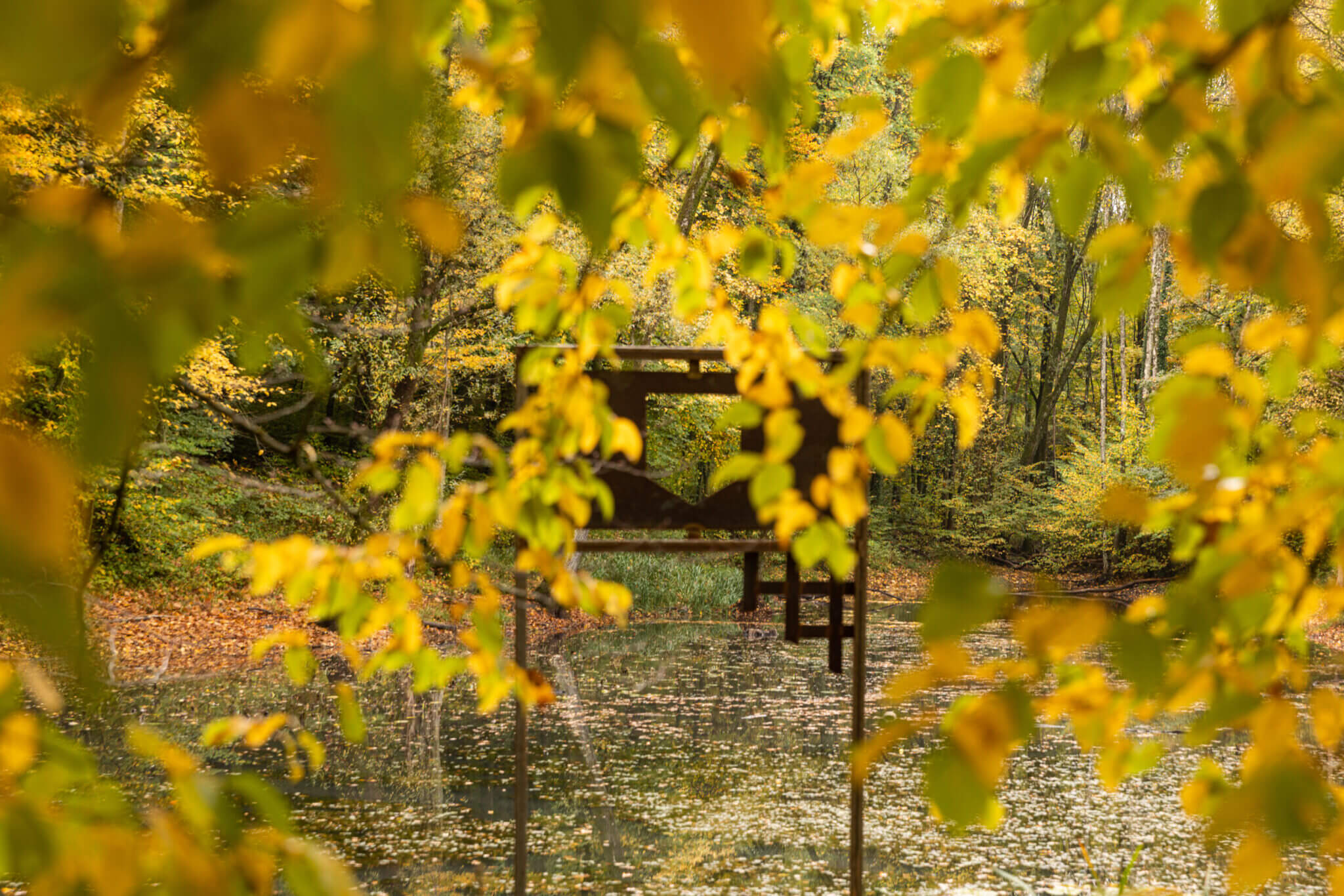 Summer zu Esch – D’Escher Natur am Summer entdecken