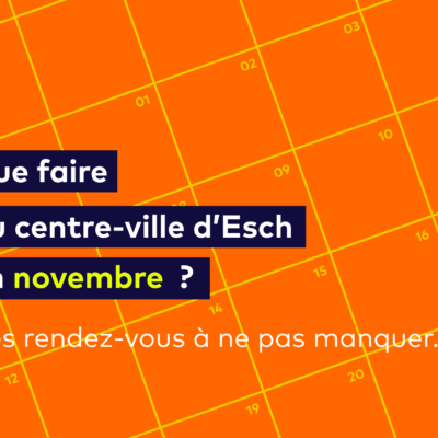 Que faire au centre-ville d’Esch en novembre ?