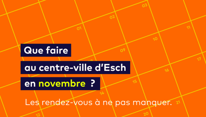 Que faire au centre-ville d’Esch en novembre ?